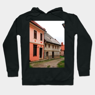 Historic Buildings in Skofja Loka 1 Hoodie